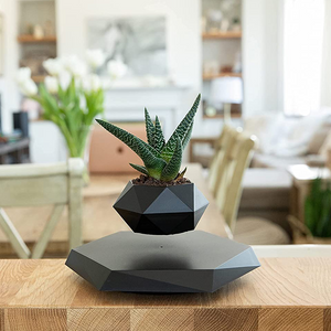 Black Geometric Levitating Plant Pot